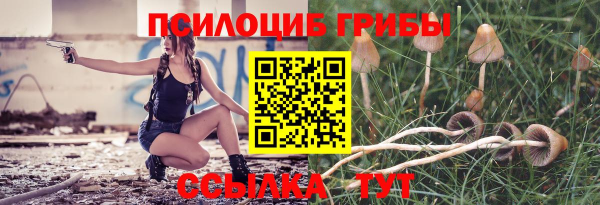 Галлюциногенные грибы Psilocybine cubensis  Галлюциногенные грибы Psilocybe  Новосибирск  купить закладку  Вход с VPN 