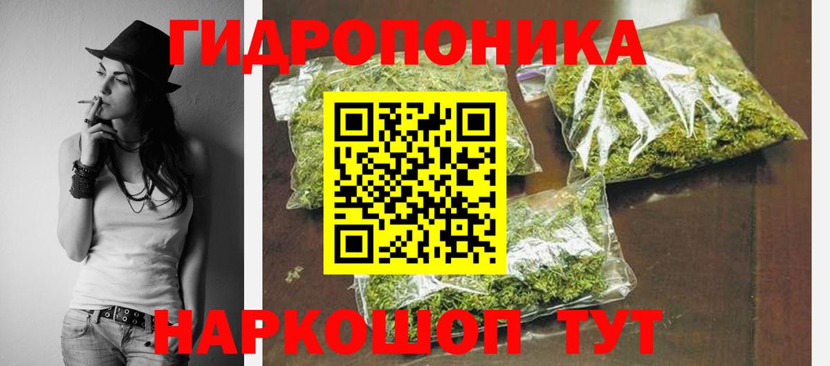 Новосибирск  Канабис планчик  Шишки марихуана OG Kush  Вход с VPN 